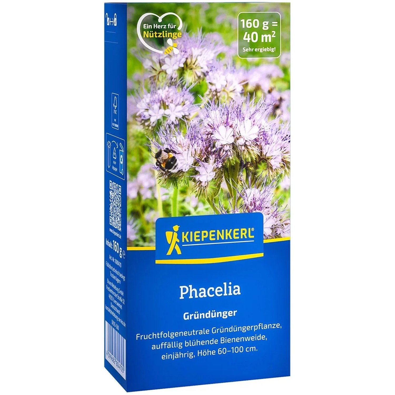 Kiepenkerl Saatgut Phacelia 0,16 kg kaufen bei OBI