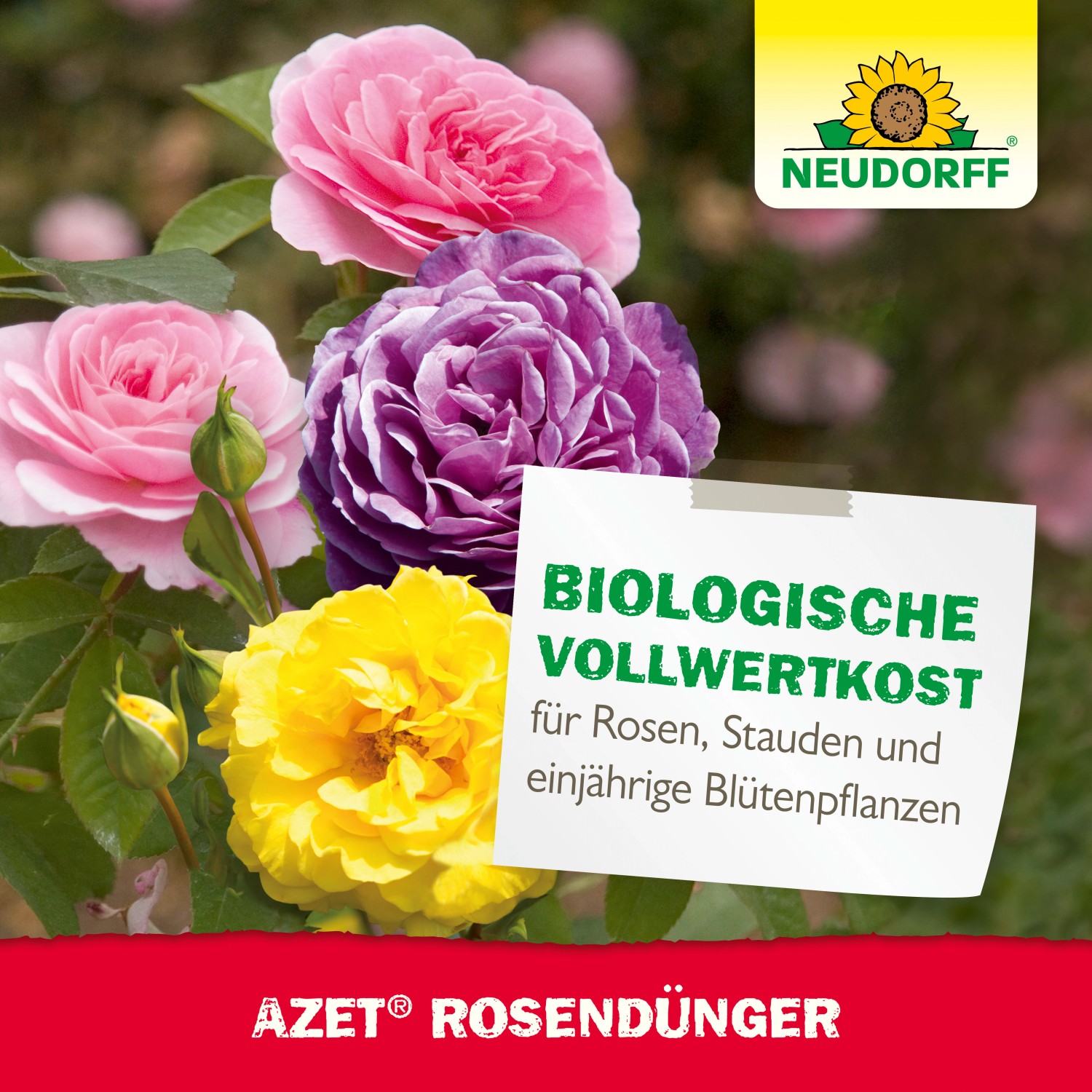Neudorff Azet Rosen-Dünger für üppige Blütenpracht und gesunde Rosen.