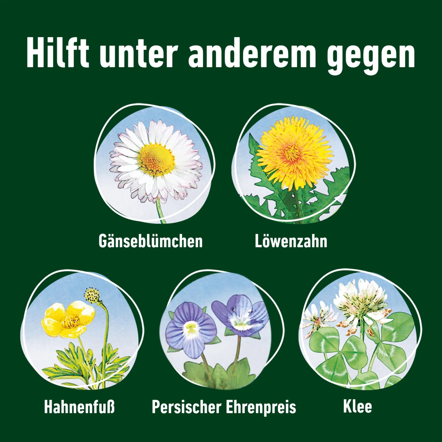 Compo Rasendnger plus Unkrautvernichter 12 kg fr 400 m kaufen bei OBI