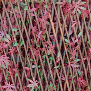 Tenax künstliche Hecke Divy 3D X-Tens Red Acer, rot-grüne Blätter an braunem Rankgitter.