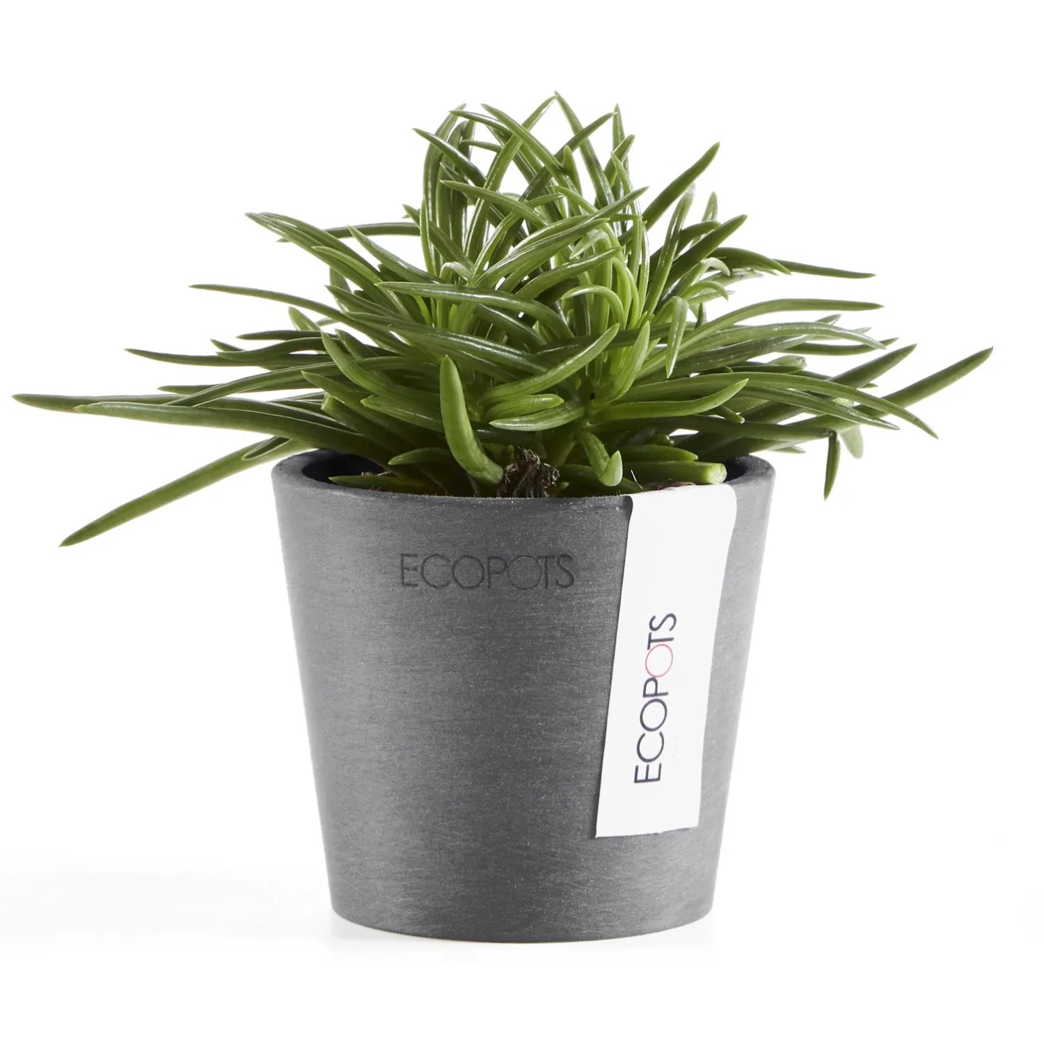 Ecopots Pflanztopf Amsterdam Mini Grau 8 cm kaufen bei OBI