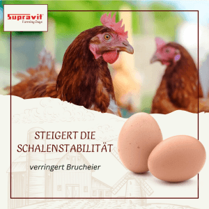 Supravit Kalkgrit für Hühner Futterkalk Ergänzungsfutter