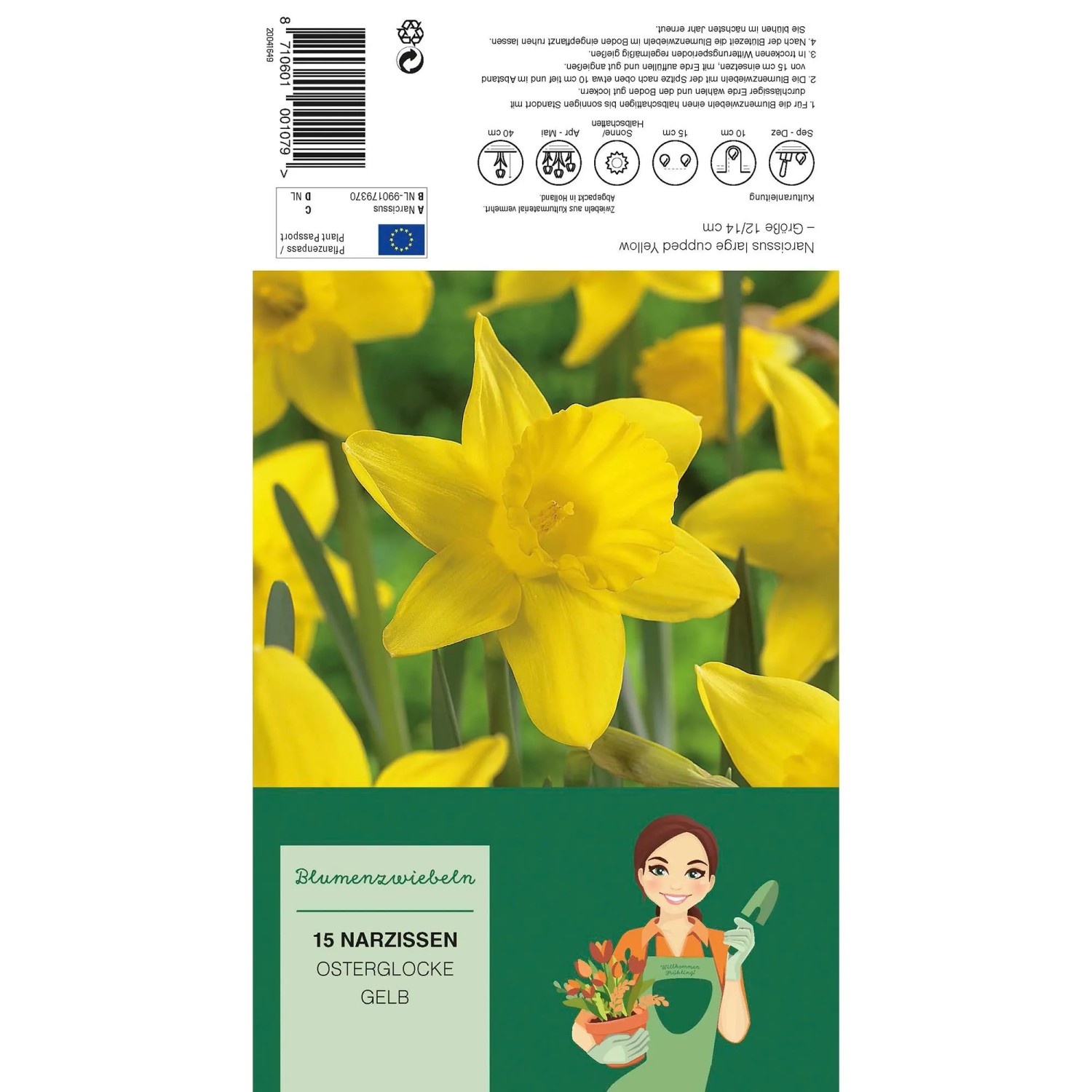 Verpackung Osterglocke Gelb, 15 Narzissen Blumenzwiebeln mit gelber Blüte.