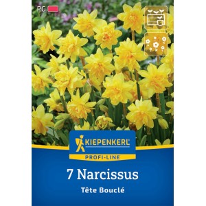 Kiepenkerl Gefüllte Narzisse Tête Bouclé, 7 Stück. Gelbe, gefüllte Blüten im Beet.