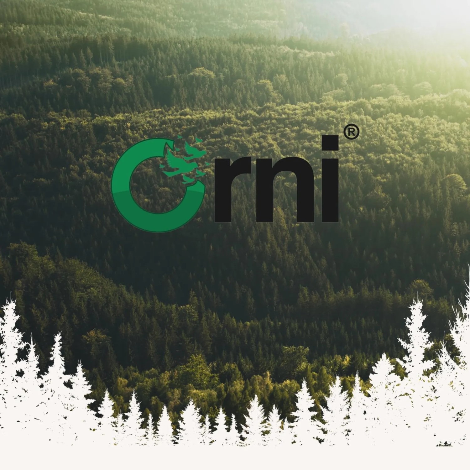 Orni Eichhörnchenfutter_7