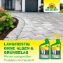 Neudorff Finalsan AF Unkraut-Frei Plus, Unkrautvernichter für Beet und Garten.