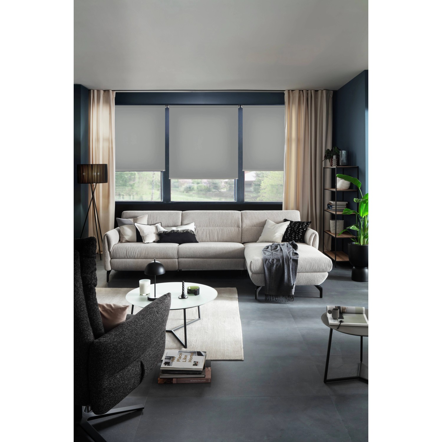 Schöner Wohnen Tageslicht-Rollo Tizia, 45x150 cm, Anthrazit im modernen Wohnzimmer.