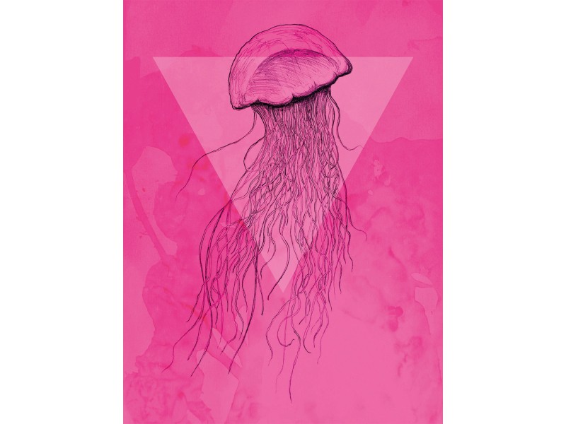 bei x Jellyfish 40 30 kaufen Pink Wandbild OBI Komar cm