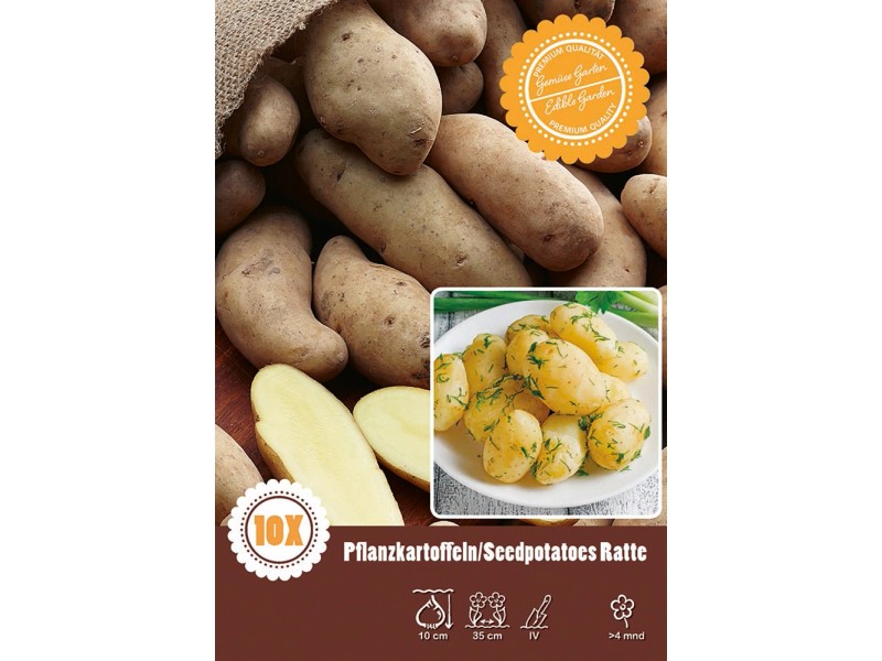 Pflanzkartoffeln "Ratte" kaufen bei OBI