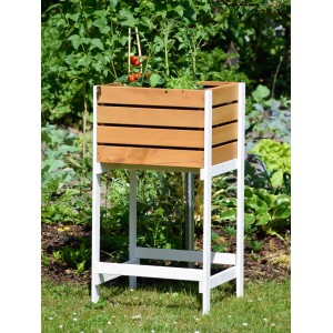 Hochbeet Obstkiste aus Holz (Bernstein) mit Pflanzfolie im Garten.