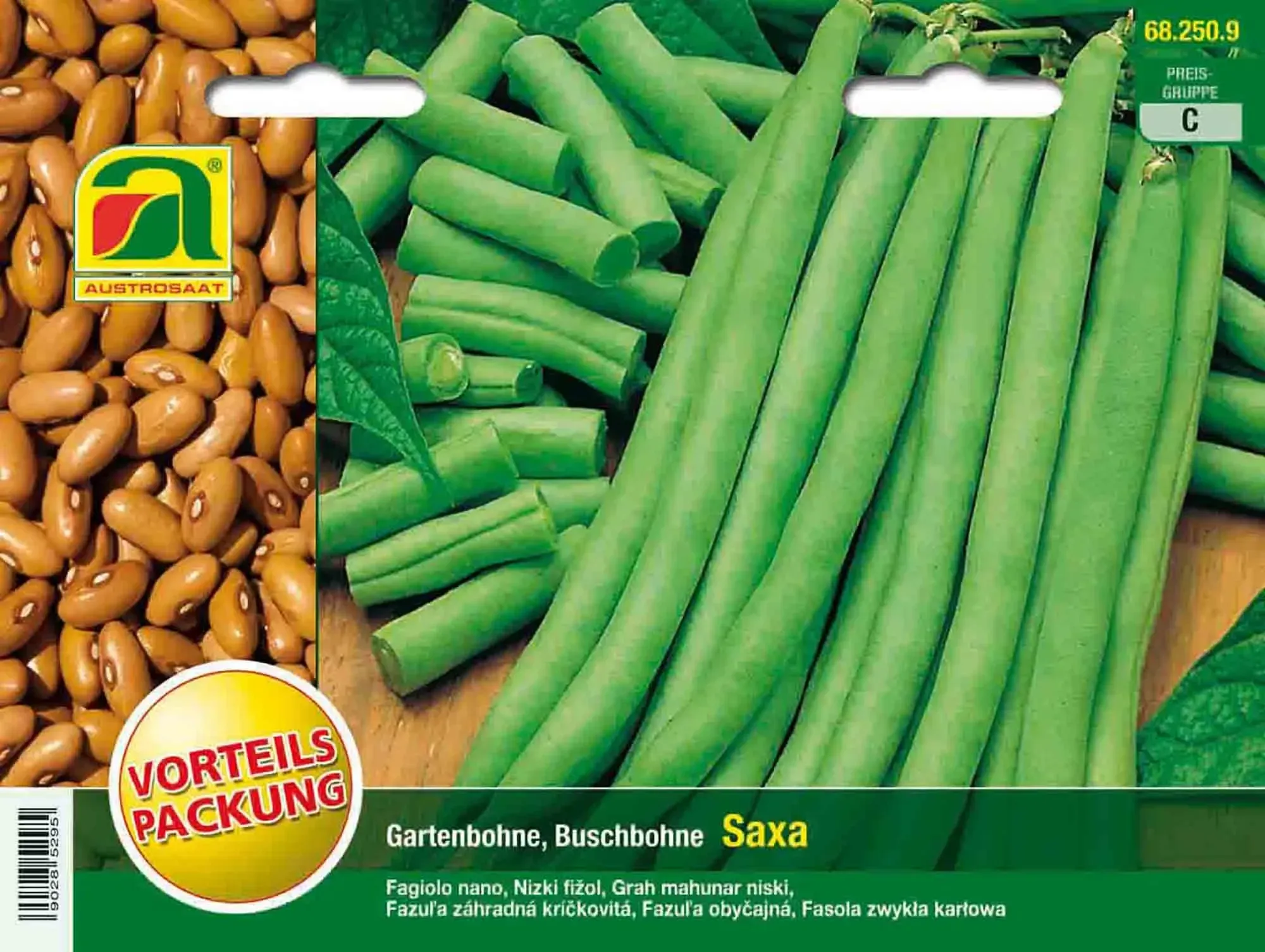 Buschbohnen-Saatgut 'Maxi' – 18-20 Cm Lange, Fadenlose Hülsen, 120 Korn, Für Garten & Hochbeet