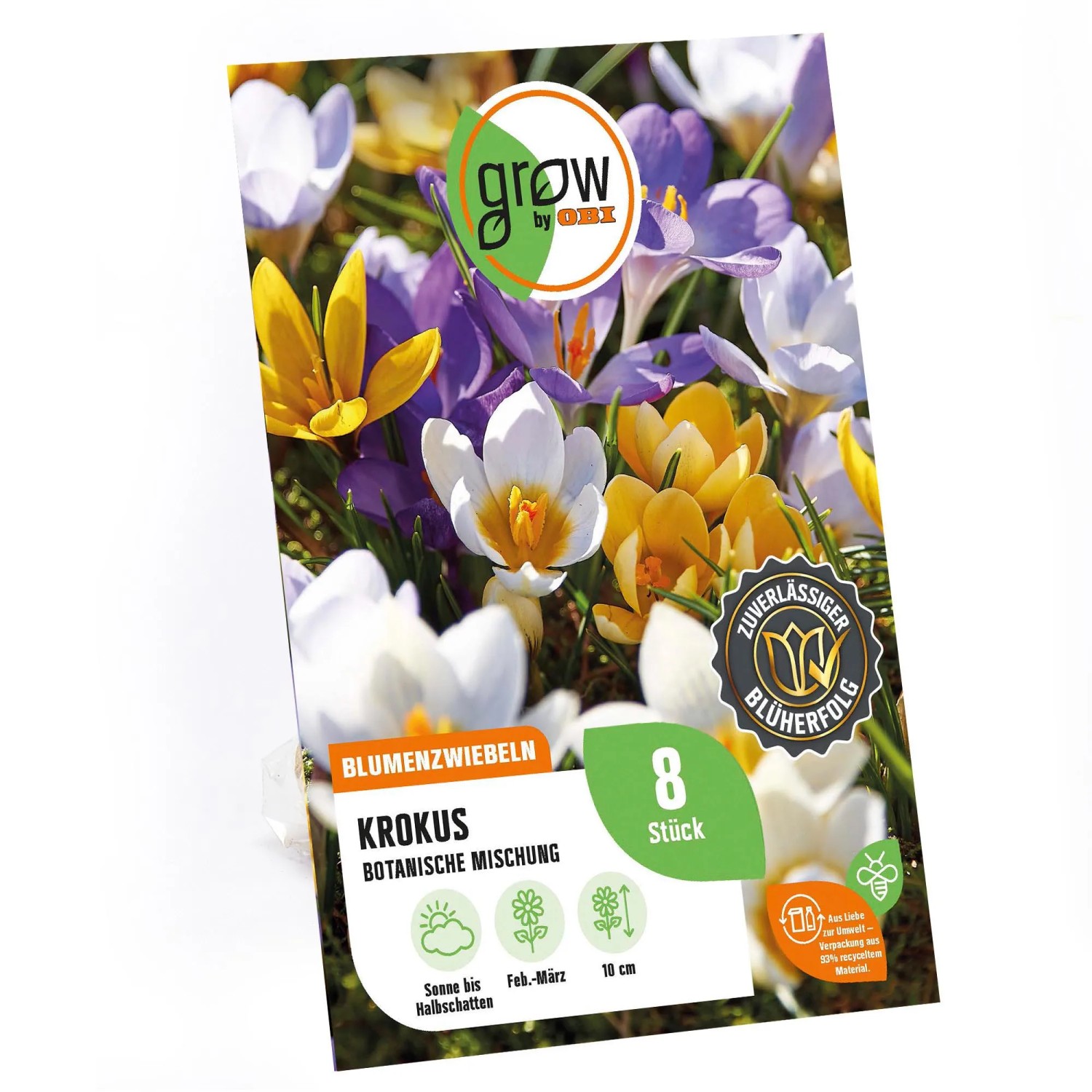 GROW by OBI Krokus Botanische Mischung, 8 Stück Blumenzwiebeln mit Blüten in Gelb, Lila und Weiß.