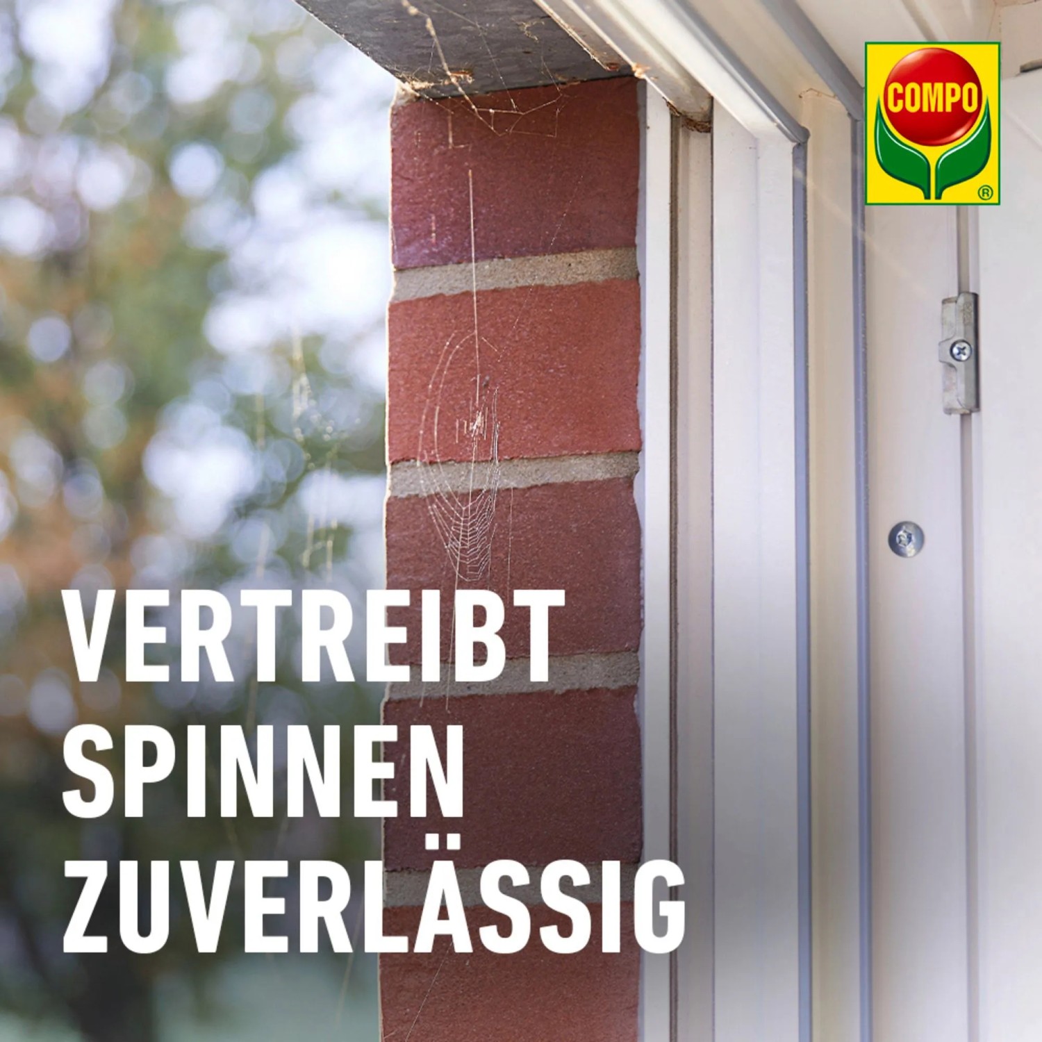 Compo Spinnen-Raus 750 ml Anwendungsfertig kaufen bei OBI
