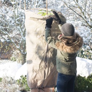 Videx Garden Thermomantel XL Extreme beige, Winterschutz für Pflanzen im Garten.