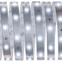 Flexibler Paulmann MaxLED 250 LED-Streifen, 5 m, Tageslichtweiß, unbeschichtet.