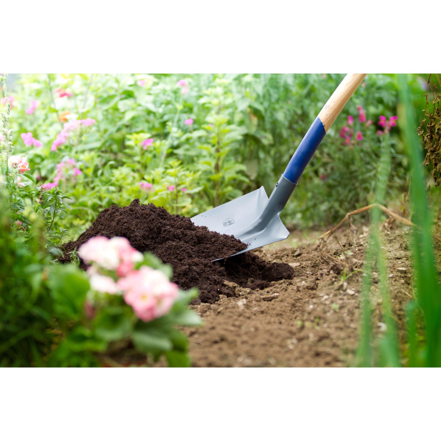Schwarze LUX Frankfurter Schaufel mit Aufbug und 130 cm Eschenstiel im Einsatz.