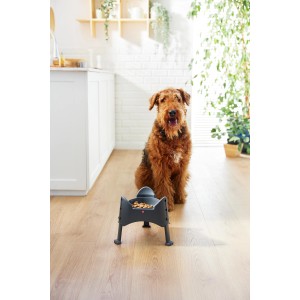 Rotho Futternapf Sammy Verstellbar 1,02 l Anthrazit