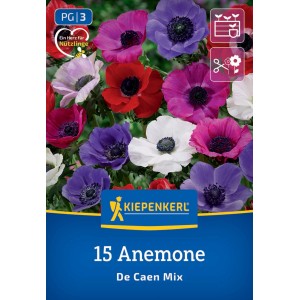 Kiepenkerl Blumenzwiebeln Kronenanemone De Caen Mischung