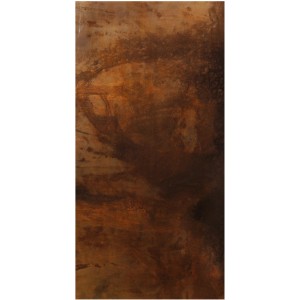 Sichtschutzzaun-Element Board Rechteck Rost 180 cm x 90 cm