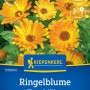 Kiepenkerl Ringelblume Wiesen-Goldblume: Orangefarbene Blüten auf der Samenpackung.