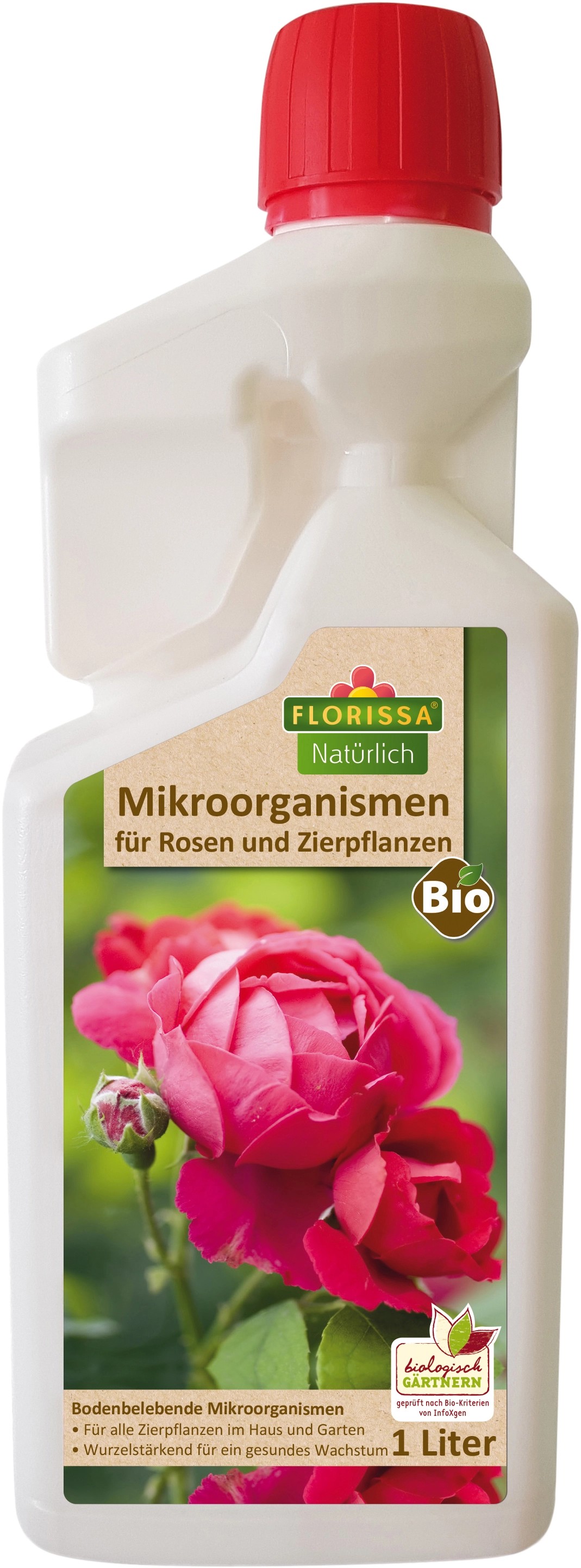 Florissa Rosen & Zierpflanzen kaufen bei OBI