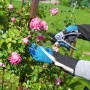 Blaue Rosenhandschuhe Größe 10 beim Schneiden von Rosen am Rosenbogen.
