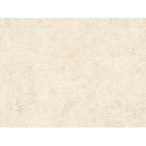 Beige Vliestapete mit Putzstruktur von A.S. Création, New Walls Kollektion.