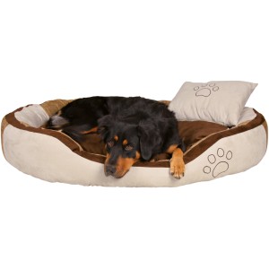 Hund liegt entspannt im Jollypaw Bett Jordy, beige/braun, mit Kopfkissen und Pfotenabdruck.