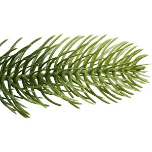 Detailaufnahme eines Zweigs des künstlichen Weihnachtsbaums Nagano, naturgetreues Grün.