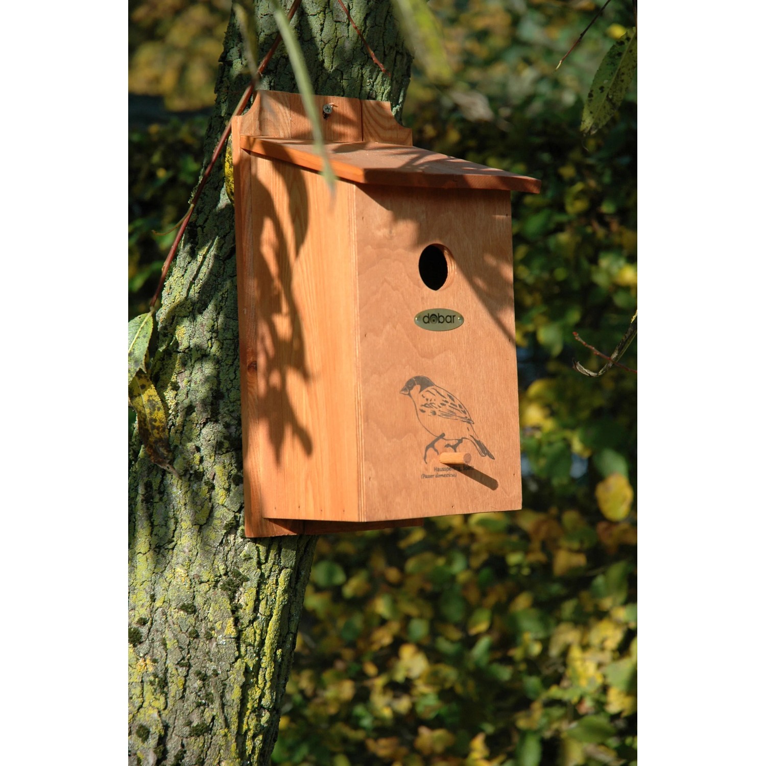 Dobar Nistkasten aus Kiefernholz mit Siebdruckmotiv eines Haussperlings, montiert an einem Baum.