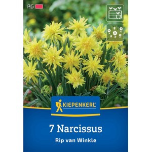 Kiepenkerl Narzissen Blumenzwiebeln, gefüllte Sorte Rip van Winkle, 7 Stück, gelbe Blüten.