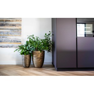 Zwei gold-schwarze Capi Pflanzgefäße Elegant Rib, niedrig, mit Pflanzen dekoriert.