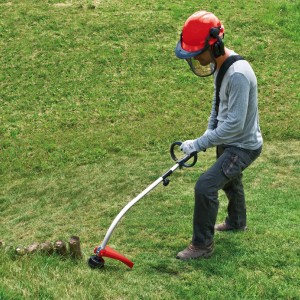 Einhell Benzin-Rasentrimmer GC-PT 2538 I AS im Einsatz mit Schutzhelm auf Rasenfläche.