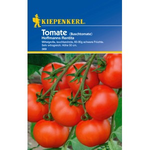 Kiepenkerl Buschtomaten Hoffmanns Rentita mit roten, reifen Tomaten am Strauch.