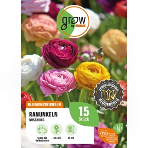 GROW by OBI Ranunkel-Mischung, verschiedene Farben, ideal für Beet und Kübel.