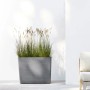 Ecopots Pflanztopf Paris Rollen Grau (HxBxT) 65 x 85 x 40 cm_5
