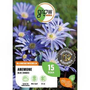 Blau blühende Anemonen 'Blue Shades', 15 Stück im Set, ideal für Beet und Garten.