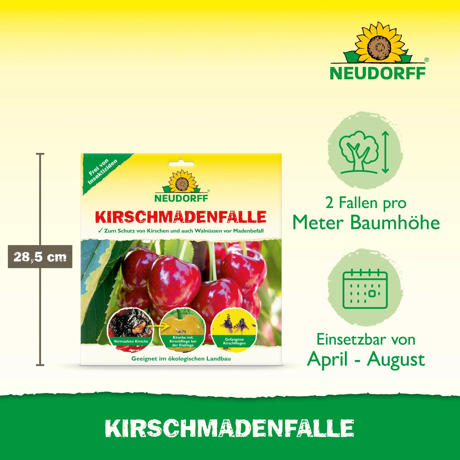 Neudorff Kirschmaden-Falle: Insektizidfreie Leimfalle zum Schutz vor Kirschmaden.
