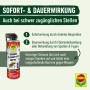 Compo Wespen Schaum-Gel Spray 500ml zur Bekämpfung von Wespennestern und Wespen.