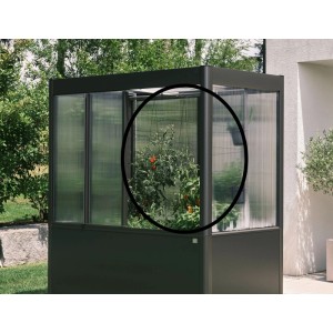 Biohort Rankhilfe im Gewächshaus Florentina, unterstützt Pflanzen beim Wachsen.