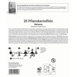 Kiepenkerl Pflanzkartoffeln Belana, 20 Stück, festkochend und gelbfleischig.
