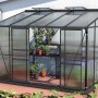 Schwarzes Vitavia Gewächshaus Ida 6500 mit Pflanzen auf Regalen, Anlehngewächshaus mit 6,5 m² Fläche.
