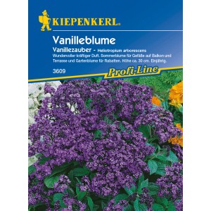 Kiepenkerl Vanilleblume Vanillezauber Blau: Blumensamen mit blauen Blüten und Verpackung.