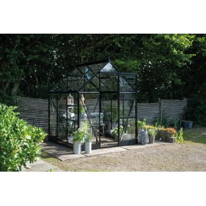 Schwarzes Halls Gewächshaus Icon 6 mit Glasfront und Pflanzen im Garten.