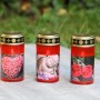 FlowerPower LED Grablampe Tumba Red mit Dorn, rote Kunststofflampe mit verschiedenen Motiven.