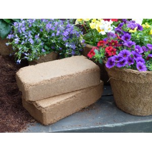 Proflora Kokosziegel, torffreie Blumenerde (10er Pack) mit Blumen.
