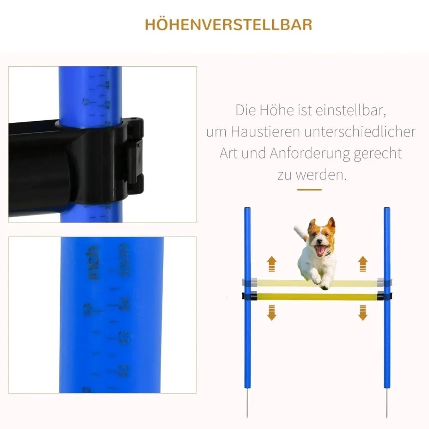 Hund springt über höhenverstellbare Agility-Hürde. Detail der blauen Stange zur Höhenanpassung.