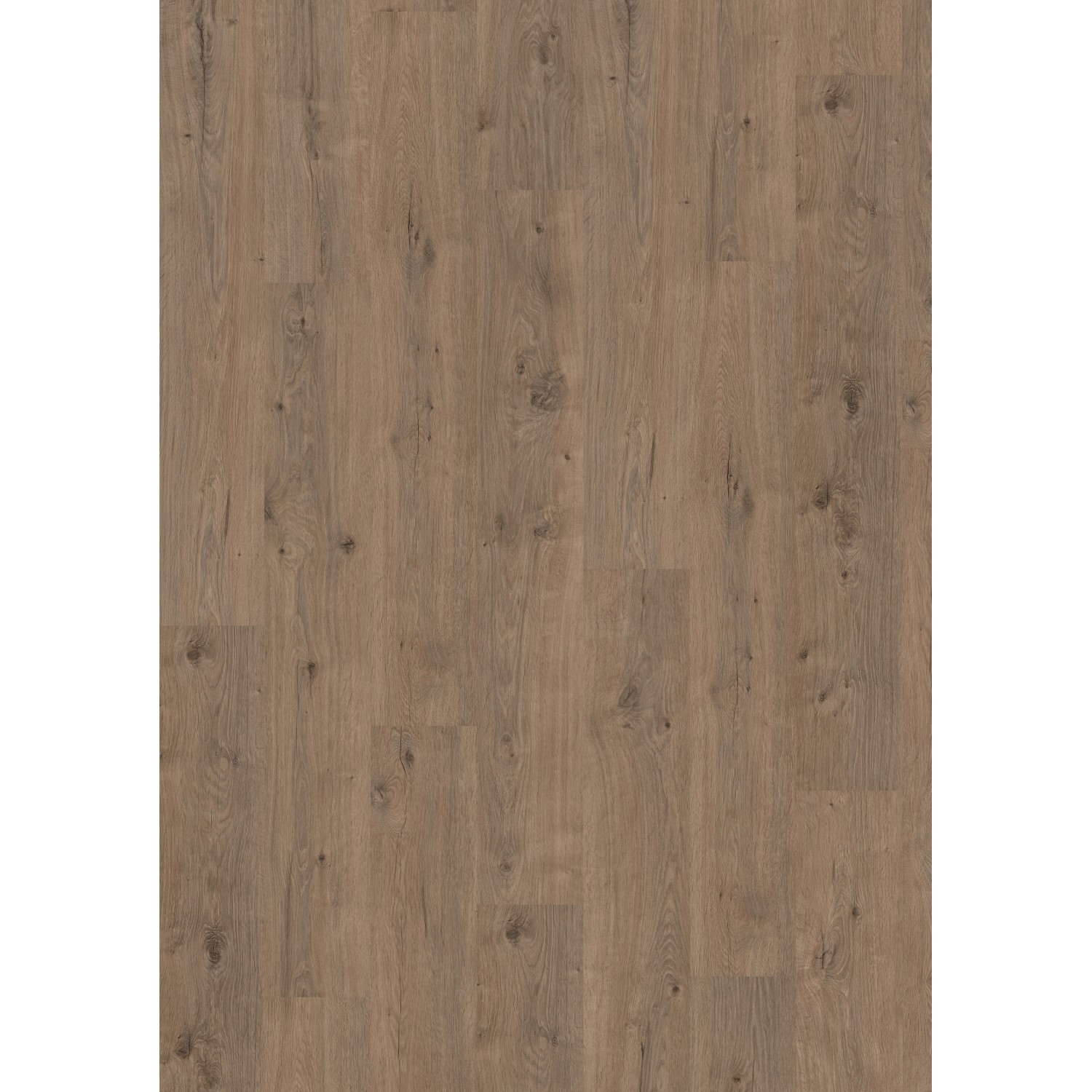 Egger Laminatboden EL2835 NatureSense Murom Eiche Natur_4