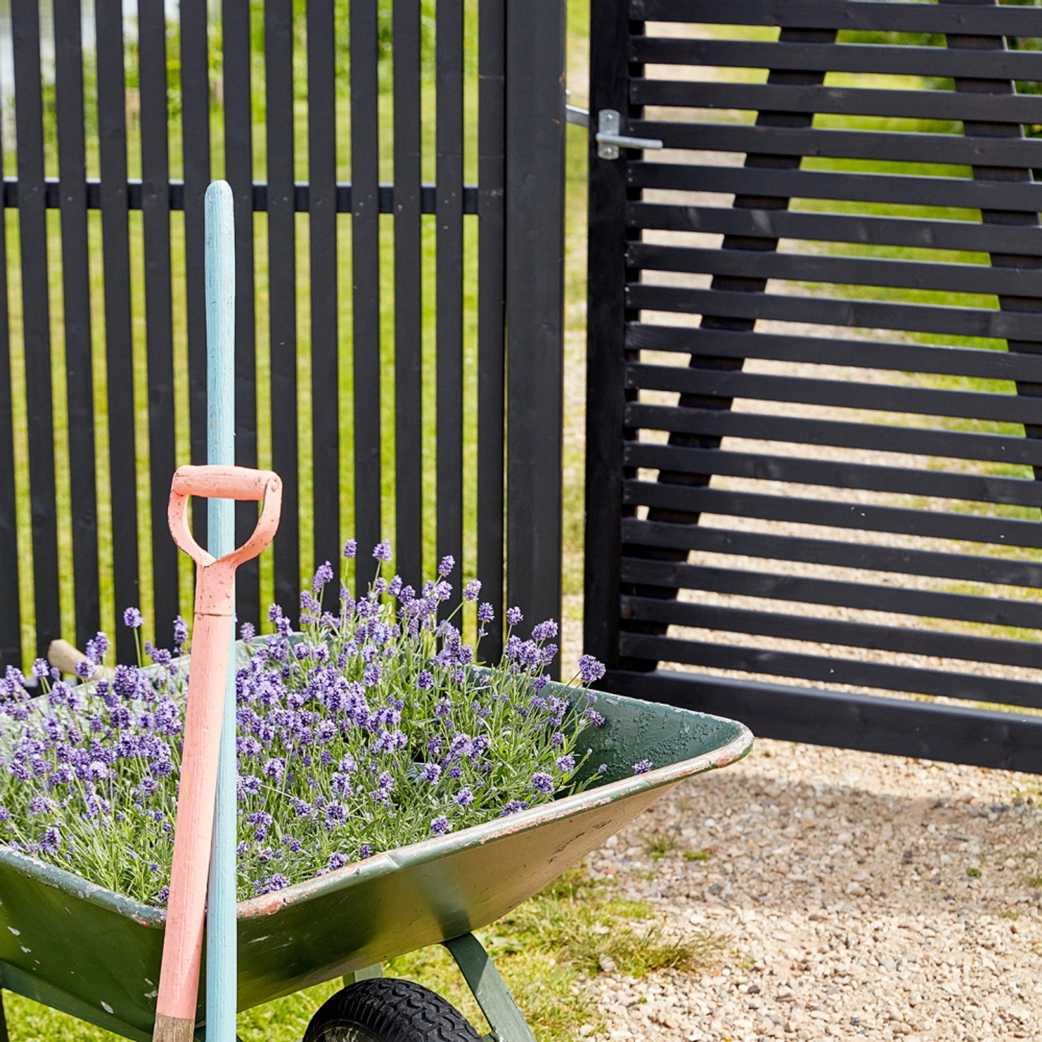 Schwarzer Sichtschutzzaun Sendai aus Nadelholz, 180x180 cm, mit Schubkarre und Lavendel.