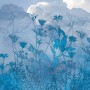 Komar Fototapete Vlies Blue Sky, 200x250 cm, mit blauem Blumenmuster und Wolkenhimmel.